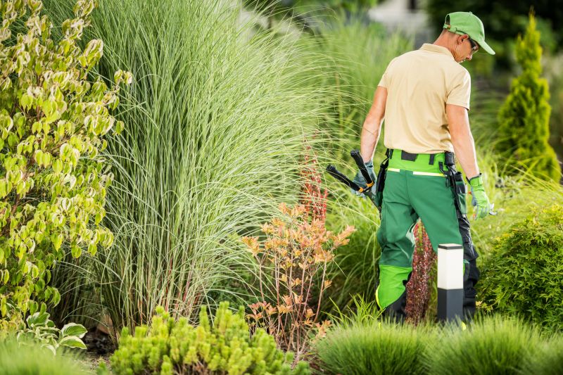 Local Landscaping Businesses